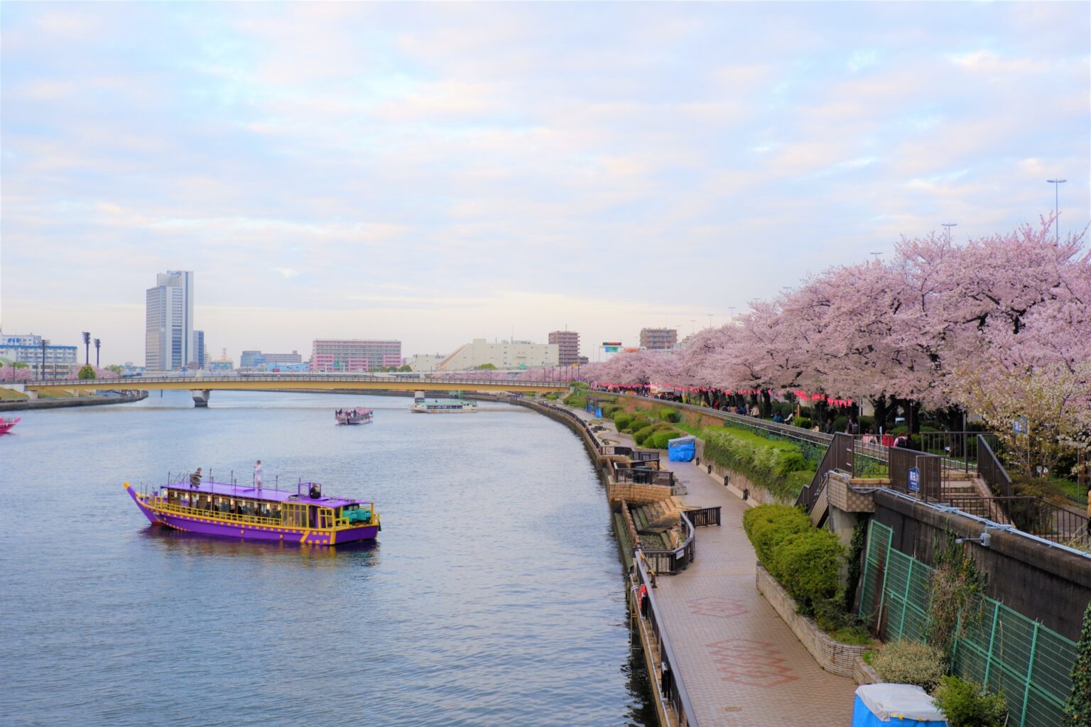 『劇場版TOKYO MER』YOKOHAMA MERの違いや見どころを解説 | 医療ドラマまにあ